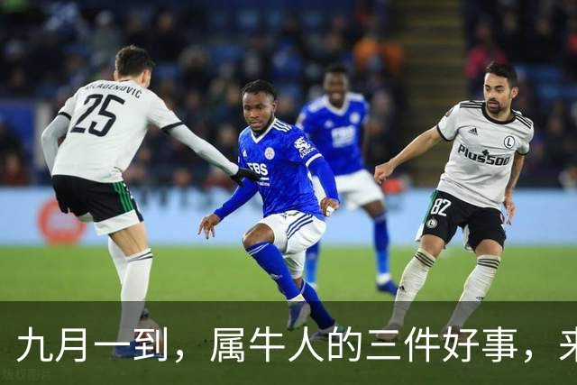 九月一到，属牛人的三件好事，来得就像定了闹钟